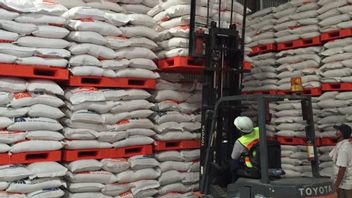 Après la catastrophe, Bulog a retiré 30 tonnes de riz de chaque aéroport de Sumatra