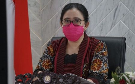 Berstatus Putri Mahkota PDIP, Puan Maharani: Bukan Berarti Karpet Merah Disiapkan