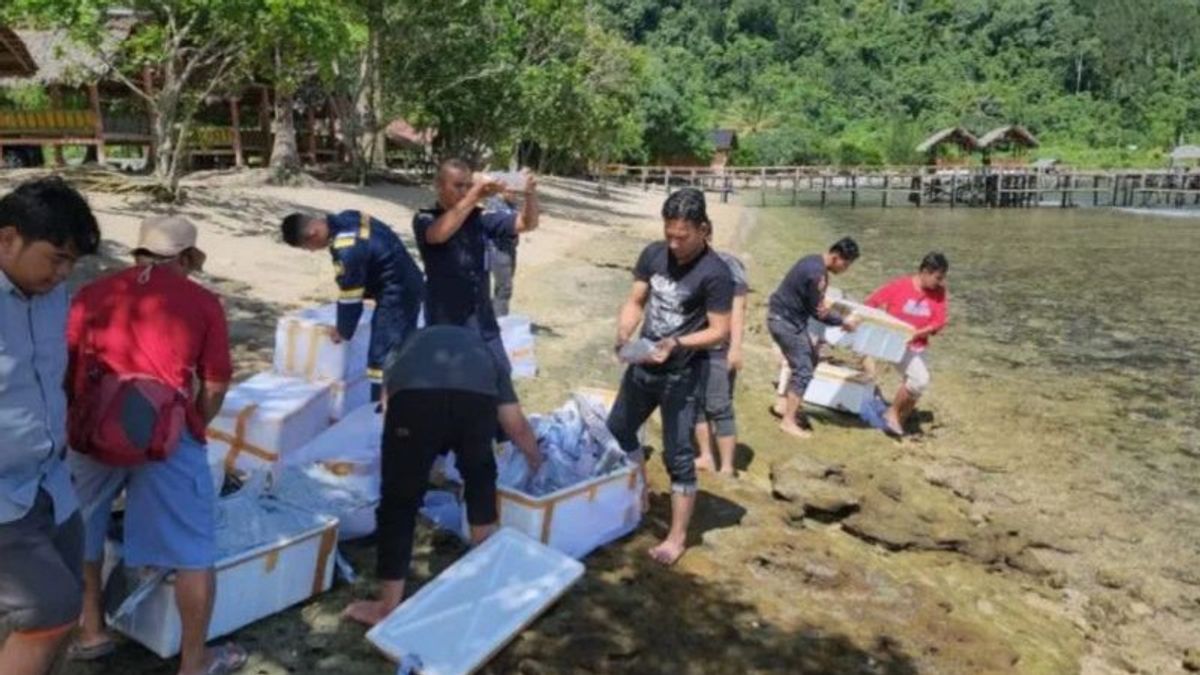 Inhil Police Hunt Owners Of 70,800 Smuggled Lobster Seeds