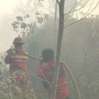 4 Titik Karhutla Masih Membara di Riau, Tim Gabungan Terus Berjuang Padamkan Api
