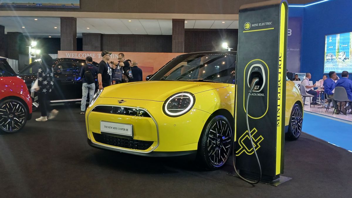 Plaza MINI Participates In PEVS 2025, Bring Cooper To Aceman