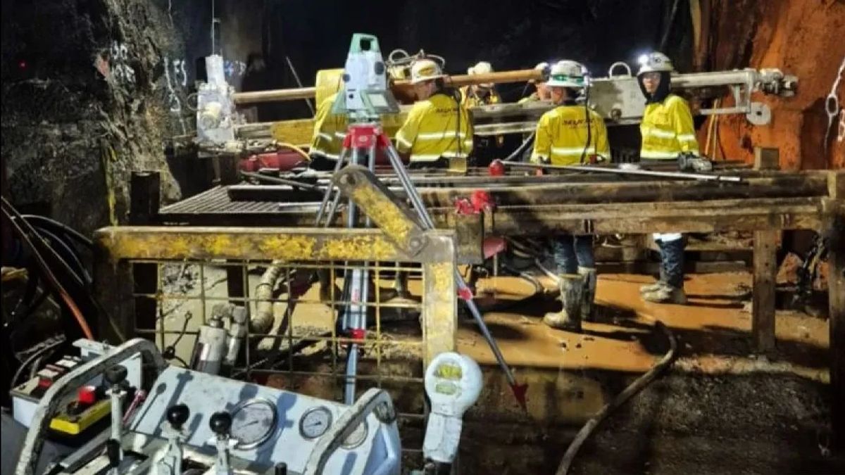 Imbas Longsor Tambang Bawah Tanah, Produksi Emas dan Tembaga PTFI Anjlok
