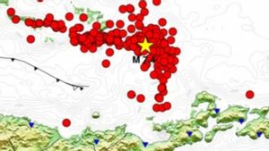 Gempa Bumi Susulan Terjadi Kawasan Flores NTT Sebanyak 267 Kali
