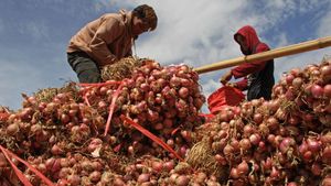 L'augmentation du prix des oignons rouges contribue à l'inflation dans la ville de Malang