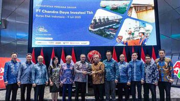 Pendapatan CDI Group Tumbuh 19 Persen Jadi 41,2 Juta Dolar AS di Kuartal I 2026