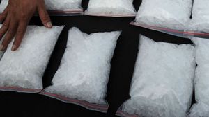 Sejoli Asal Palembang Ditangkap Saat Bawa 31 Kg Sabu dari Rupat