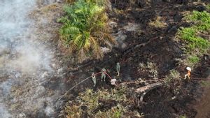 Karhutla Lalap 72 Hektare Lahan di Aceh Selatan, BPBD: Baru Padam 45 Persen  