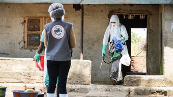 Jumlah Kematian Akibat Ebola Mencapai 131 Orang, WHO Khawatirkan Skala dan Kecepatan Wabah