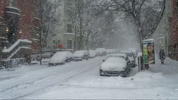 米国の雪嵐による死者の数は51人に増加