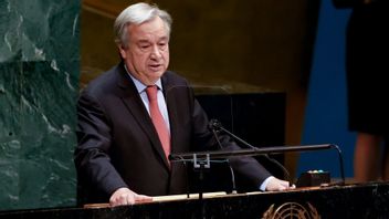 Israel-Hamas Agree To Ceasefire, UN Secretary-General: Gaza Is An Integral Part Of Palestine