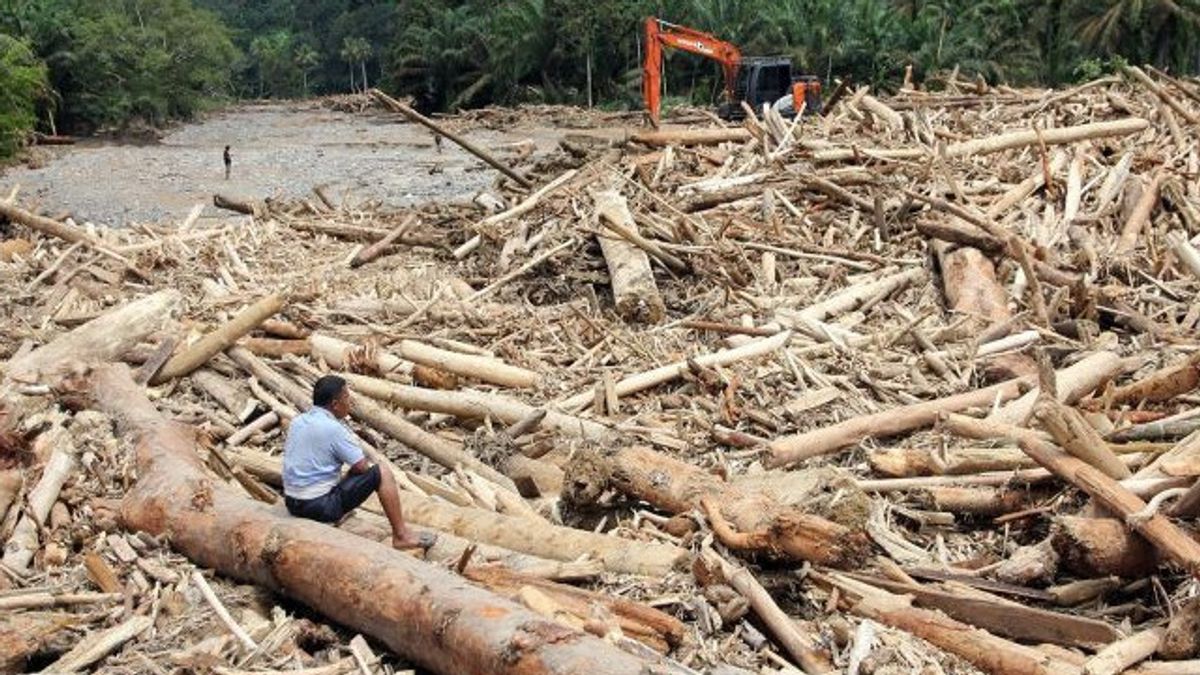 Kasus Illegal Logging, Polri Tetapkan Satu Korporasi sebagai Tersangka