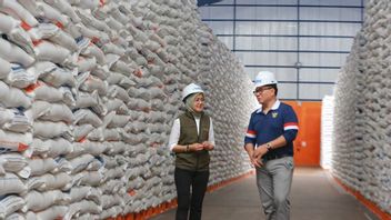 Dukung Produktivitas Petani, Bulog Siap Beli Beras Hasil Panen Rp6.500 per Kg