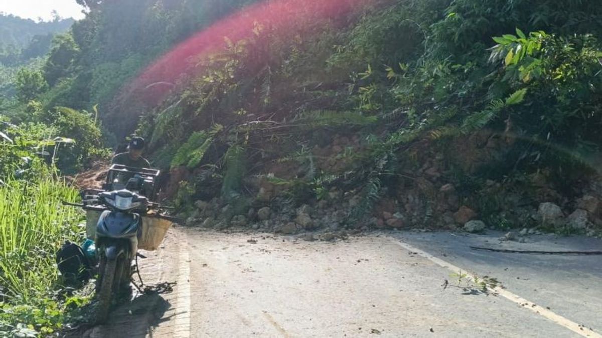  Longsor Tutup Total Jalan Bypass Banjarbaru-Batulicin di Bukit Papua