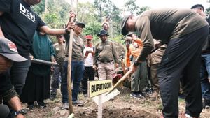 Gowa Tanam 70.200 Pohon Guna Kembalikan Lahan Hutan Kritis