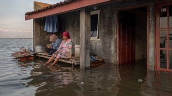 BMKG Minta Masyarakat Pesisir Siaga Potensi Banjir Rob 19 Mei