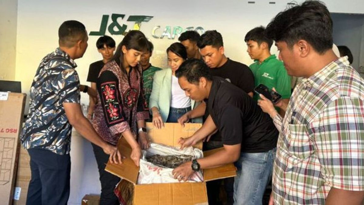 21,8 Kg Sisik Trenggiling Tujuan Vietnam Disita di Batam