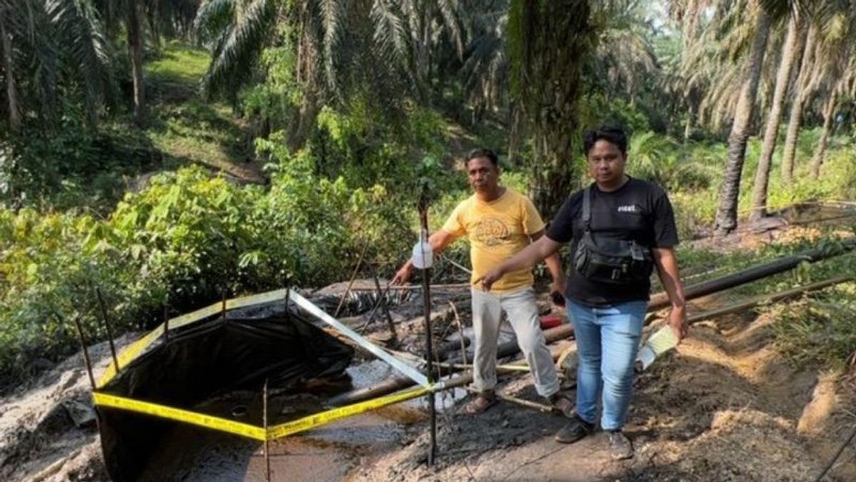 Receiving Information From Residents, The Jambi Police Moved To Gerebek, Illegal Mining In Bukit Subur Village, 11 Workers Were Secured