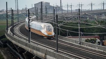 Having Only Been Operating For 2 Months, The Number Of Users Of Fast Trains Reaches 1 Million People