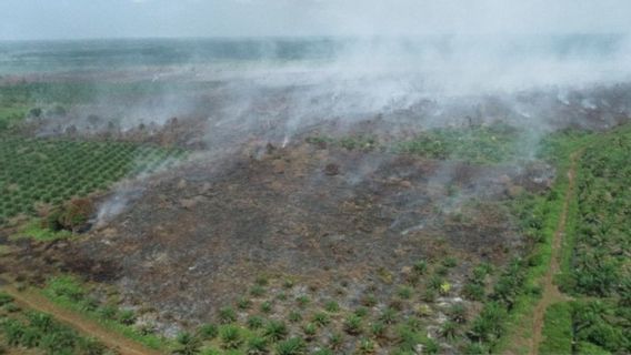 BPBDは、多くの西アチェ地域で焼失した土地の面積が7.5ヘクタールに達したと記録しています