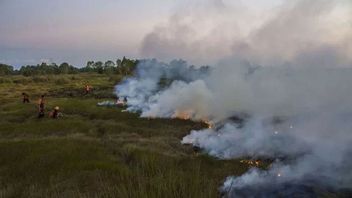 3 Perusahaan PBPH di Riau Disegel Kemenhut Akibat Kebakaran Lahan Gambut