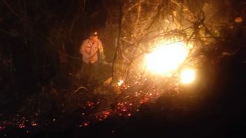 佩兰比克村的丘陵土地被烧毁,中央龙目岛警方仍在调查原因