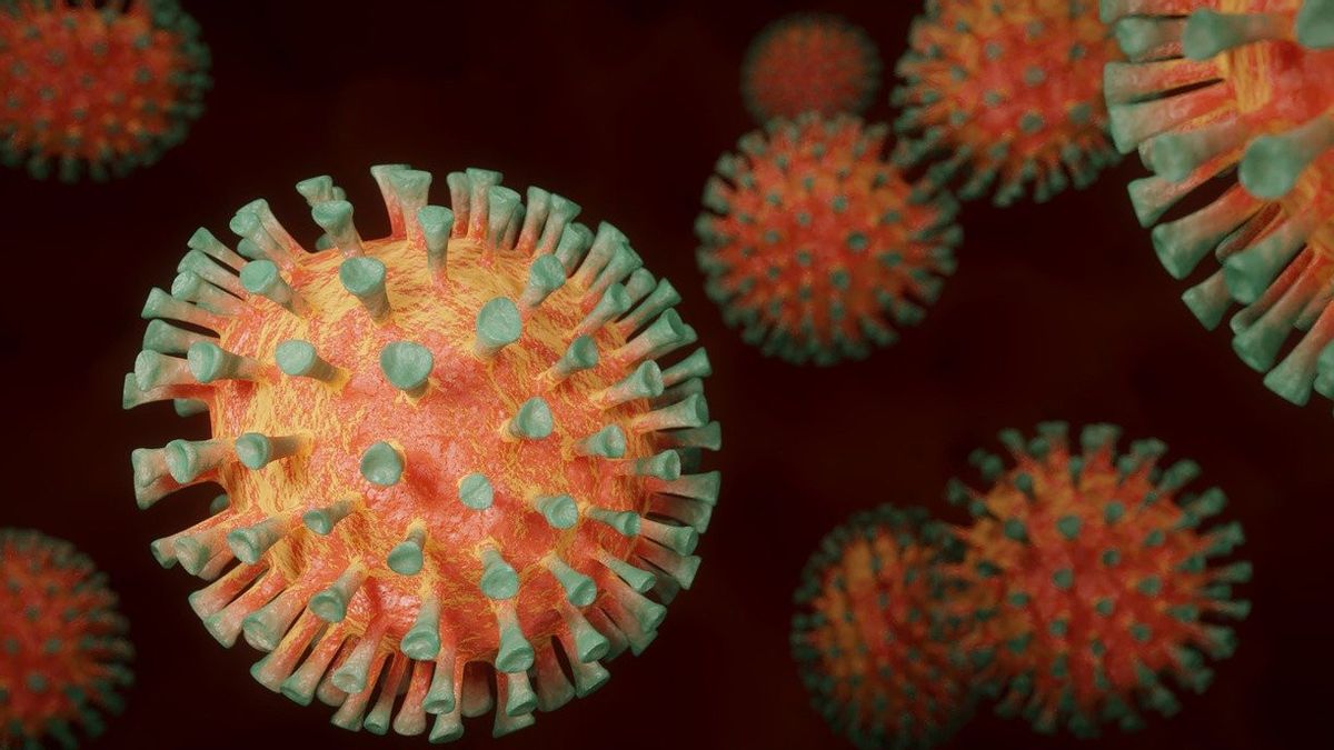 Dinkes DKI invite les habitants à faire attention au virus Nipah, à éviter les contacts avec des animaux malades 