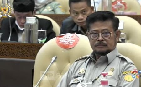 Rapat dengan Komisi IV DPR, Kementan Sampaikan Anggaran Dana Alokasi Khusus Food Estate Rp2,3 Triliun pada 2023