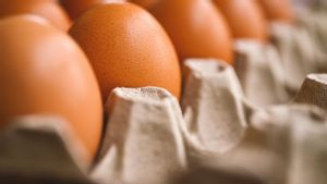 7 Cara Memilih Telur yang Baik untuk Konsumsi Harian, Yuk Simak! 