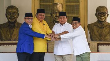 Hasil Survei: Publik Tak Percaya Jokowi Cawe-cawe dalam Deklarasi Golkar-PAN