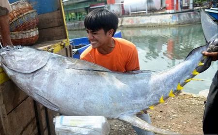 KKP Sepakat Program Makan Gratis Prabowo Hadirkan Menu Ikan