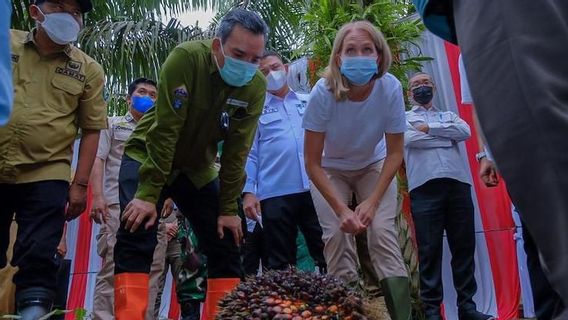 Duta Besar Norwegia Lakukan Kunjungan ke Muba Melihat Petani Sawit Menerapkan Perkebunan Berkelanjutan