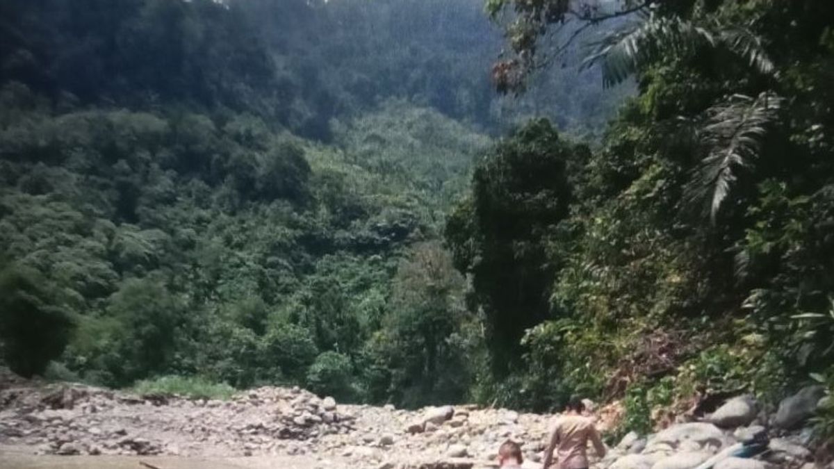 West Pasaman Police Ordered Illegal Gold Mining In Talamau