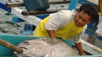 وجود وضع بلد بحري ، مصايد الأسماك الإندونيسية مثل العمالقة النائمين