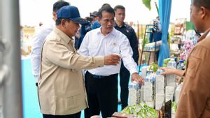 Swasembada Beras Bukan Sekadar Seremoni, Melihat Panen Raya Karawang yang Dikelola Pemerintah