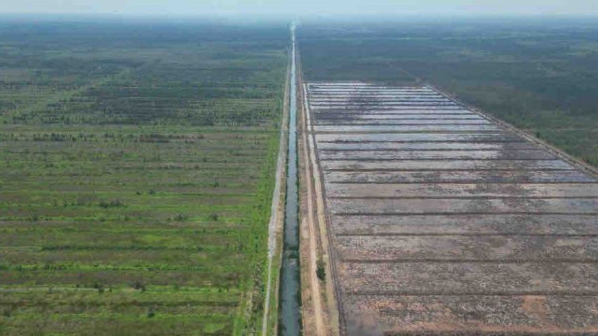 Kementan Pastikan Program Cetak Sawah 3 Juta Hektare Didukung Presiden Terpilih Prabowo