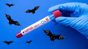Penyebaran Virus Nipah di India Mengkhawatirkan, Potensi Jadi Pandemi Baru?
