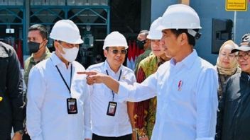 Jokowi: Bulog Perlu Serap Gabah Petani Sebanyak-banyaknya untuk Jaga Keseimbangan Harga