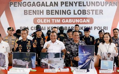 Bareskrim Polri Gagalkan Penyelundupan 151 Ribu Benih Lobster Senilai Rp15 Miliar di Perairan Bintan