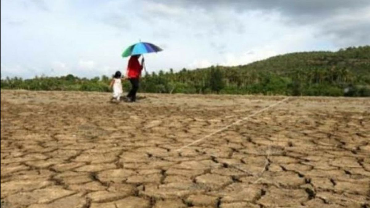 Prabowo prépare une stratégie nationale pour faire face à la menace de l'El Nino 2026