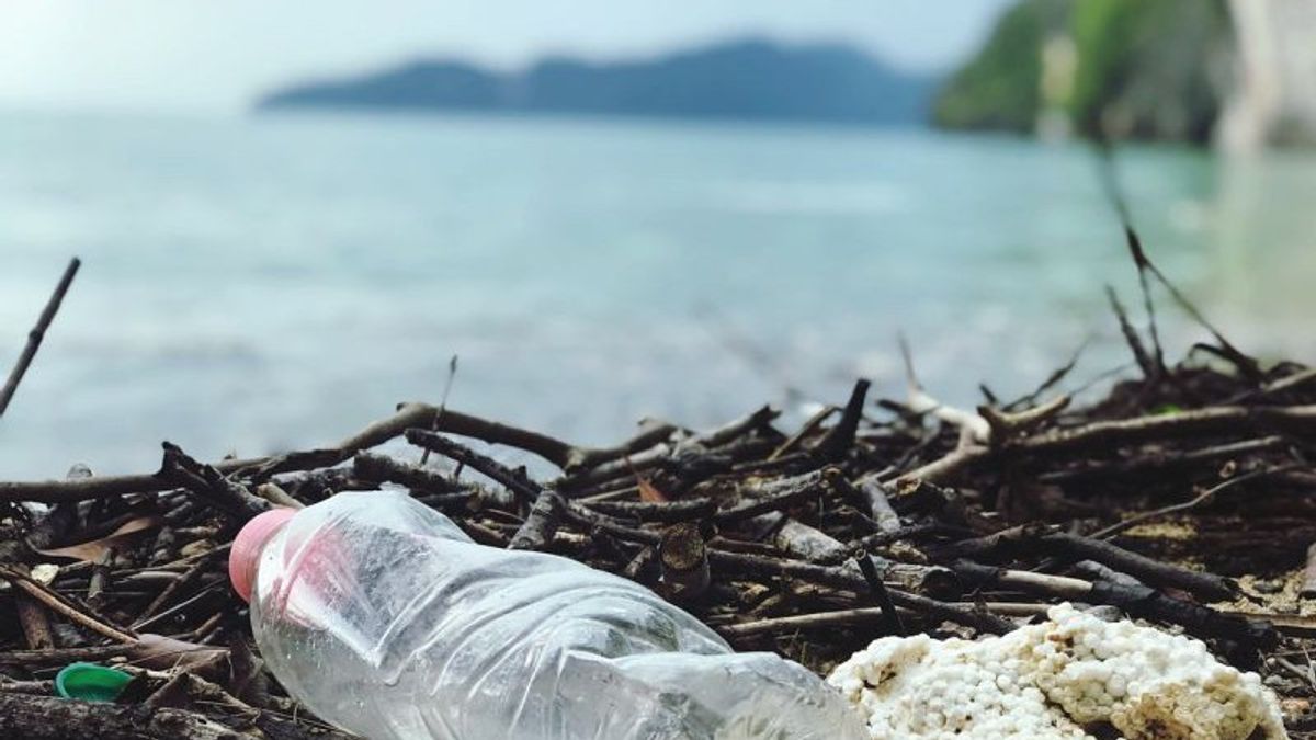 تأثير سيء على الكائنات الحية البحرية ، الوزير ترينغونو يشجع الوعي بالتلوث البلاستيكي الدقيق 