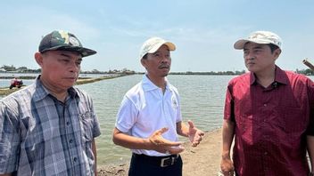 KKP Siap Fasilitasi Izin Edar Biostimulan Berbasis Rumput Laut