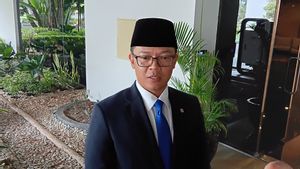 Soal Pengobatan Pengungsi Gaza di Pulau Galang, Begini Penjelasan Menlu Sugiono