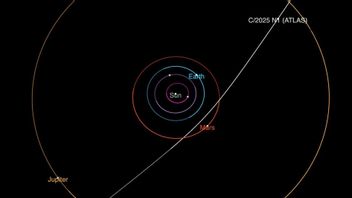 NASA Finds Foreign Comets Crossing The Solar System, The Size Is Still A Mystery