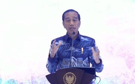 Presiden Sebal Kantor-kantor Pemerintah Daerah Dicat Warna Partai Politik