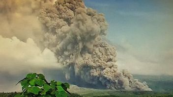 火山爆发后塞梅鲁升级“当心”，1，979名居民流离失所