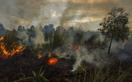 Polresta Palangka Raya Selidiki 3 Kejadian Karhutla