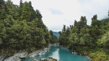 ニュージーランド旅行でおすすめの7つの旅行先