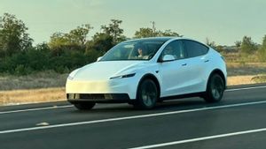 Wujud Tesla Model Y yang Lebih Terjangkau Terungkap, Kapan Meluncur?