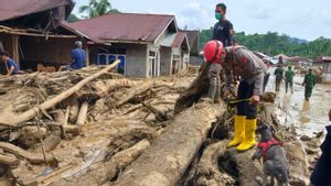 Update - Jumlah Korban Bencana di Sumut, Aceh, dan Sumbar Capai 442 Jiwa