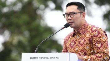 Golkar Dukung Kaesang di Pilkada Jakarta, Otomatis Ridwan Kamil Maju di Pilgub Jabar 2024